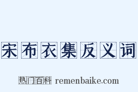 宋布衣集反义词是什么意思的图片